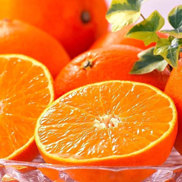 Amazon.co.jp: 愛媛まどんな アイカ (紅まどんな同品種) 3Lサイズ 大玉